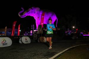 BIB: 
                            <button type="button" onclick="openModal(26534554)" class="btn btn-primary btn-sm float-right btn-popup" data-toggle="modal" data-target=".modal-high-quality">
                        <i class="fas fa-shopping-cart"></i> Add to Cart
                    </button>
                                            <button type="button" onclick="isThisMe(26534554, true)" class="btn btn-success btn-sm float-right btn-popup btn-isme hidden" data-toggle="tooltip" data-placement="bottom" title="นี่คือรูปของคุณใช่ไหม คลิกที่นี่เพื่อเอาเข้าอัลบั้ม">
                        <i class="fas fa-plus"></i> Add to album
                    </button>
                    <button type="button" onclick="isThisMe(26534554, false)" class="btn btn-warning btn-sm float-right btn-popup btn-isnotme hidden">
                        <i class="fas fa-ban"></i> Remove from album
                    </button>